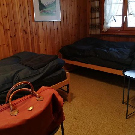Casa Steilalva - Grosszuegiges Chalet Fuer Erholsamen Familienurlaub Surrein Bagian luar foto