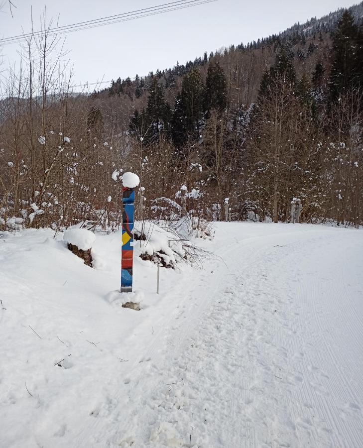Casa Steilalva - Grosszuegiges Chalet Fuer Erholsamen Familienurlaub Surrein Bagian luar foto