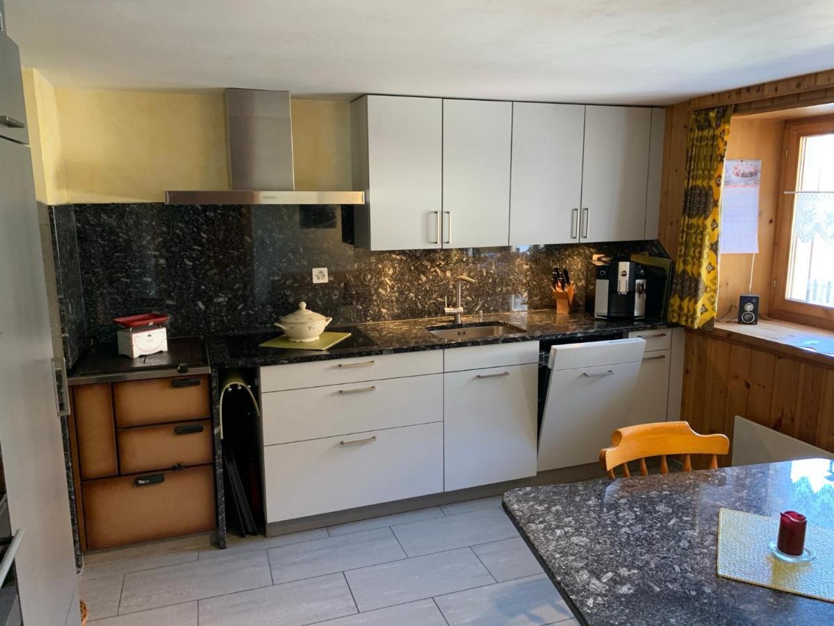 Casa Steilalva - Grosszuegiges Chalet Fuer Erholsamen Familienurlaub Surrein Bagian luar foto