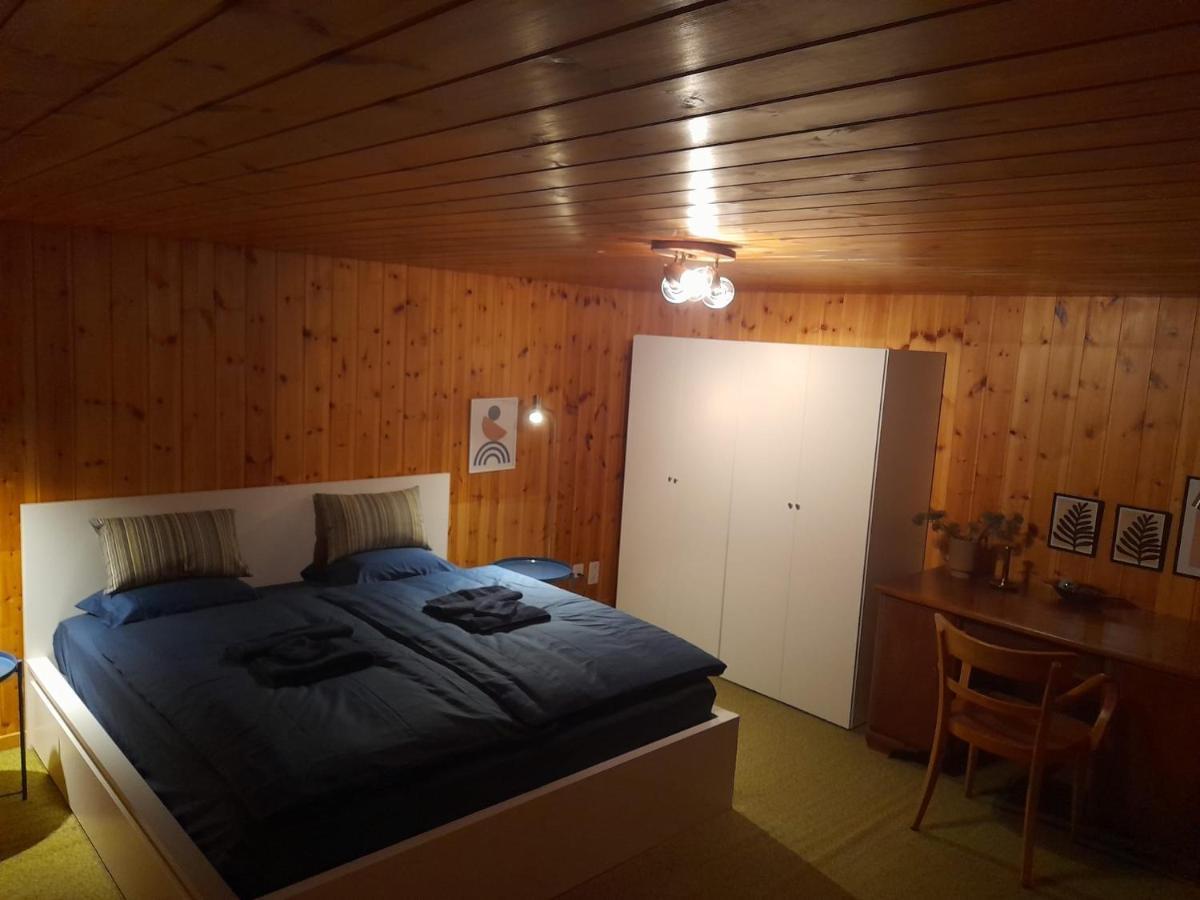 Casa Steilalva - Grosszuegiges Chalet Fuer Erholsamen Familienurlaub Surrein Bagian luar foto